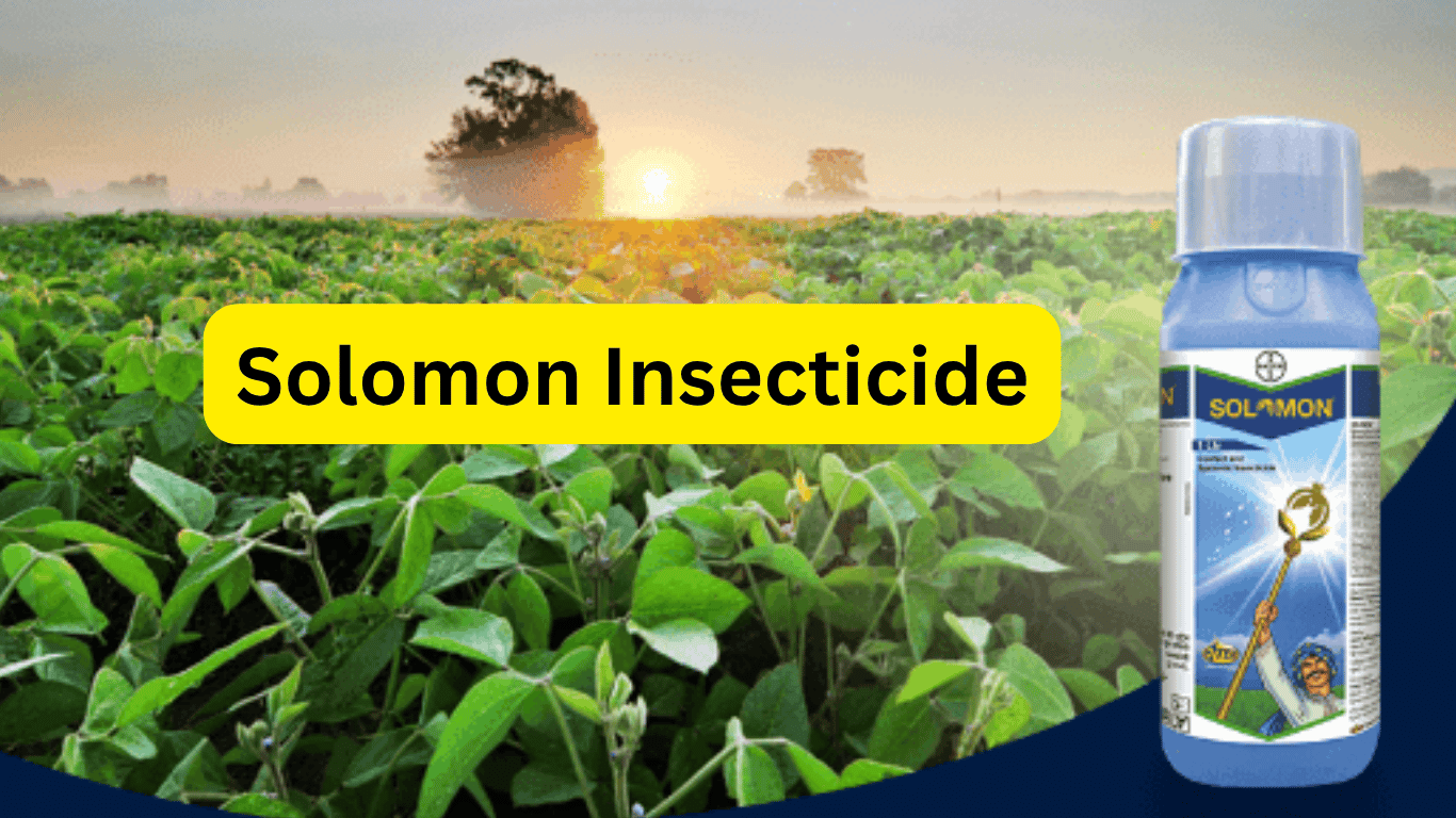 SOLOMON ( Beta-Cyfluthrin 8.49% + Imidacloprid 19.81%) Bayer