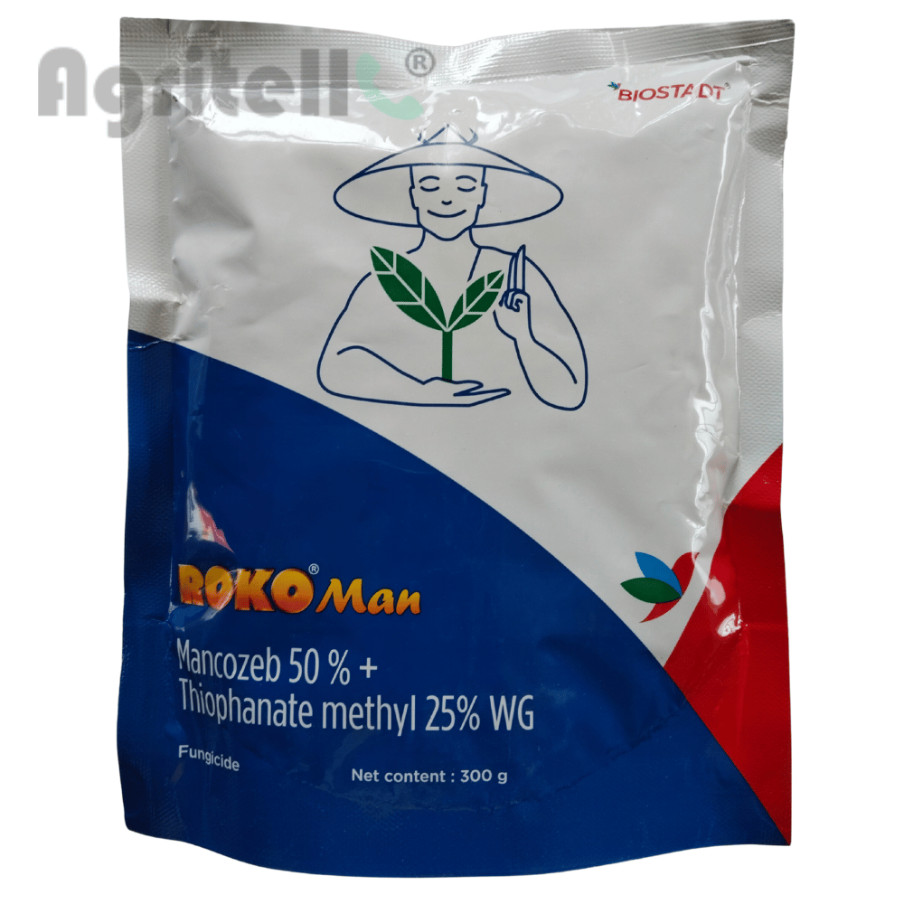 Roko Man Biostadt